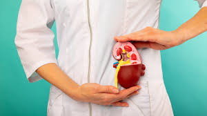 Kidney Problems Rising Among Young Adults Experts Point to Fast Food and Dehydration