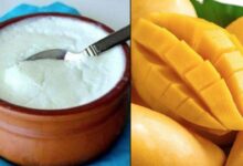 Mango and Curd Combination May Trigger Digestive and Skin Problems During Summer