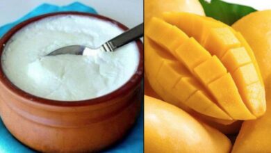 Mango and Curd Combination May Trigger Digestive and Skin Problems During Summer