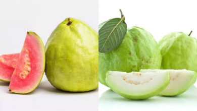 White Guava vs Red Guava: Which One Is Healthier and What Are the Real Differences?