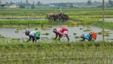 Andhra Pradesh subsidy scheme provides tractors and farm machinery at 50 percent subsidy for eligible farmers across the state
