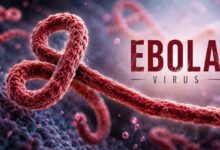 Suspected Ebola Symptoms Trigger Alert in Bengaluru