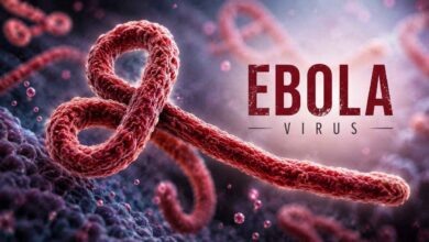 Suspected Ebola Symptoms Trigger Alert in Bengaluru