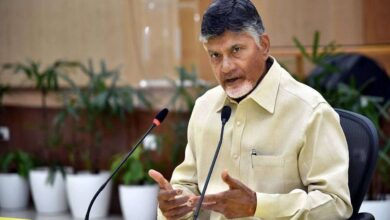Chandrababu Naidu Labour Day greetings to workers and farmers emphasizing respect welfare and economic contribution on International Labour Day