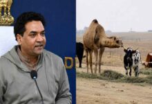 Delhi government issues Bakrid guidelines with restrictions on public animal sacrifice and strict enforcement of animal welfare regulations