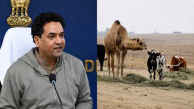 Delhi government issues Bakrid guidelines with restrictions on public animal sacrifice and strict enforcement of animal welfare regulations