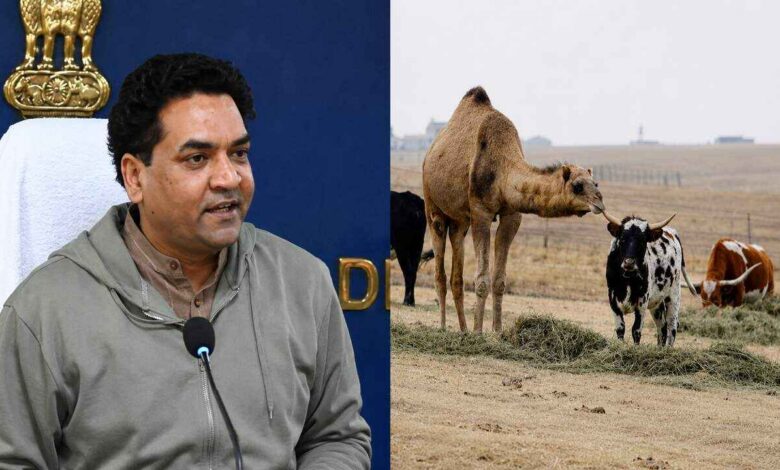 Delhi government issues Bakrid guidelines with restrictions on public animal sacrifice and strict enforcement of animal welfare regulations