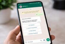 User accessing EPFO WhatsApp services for PF balance and claim details on a smartphone screen