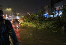 Heavy midnight rain in Hyderabad causes waterlogged roads and power disruptions across several parts of the city