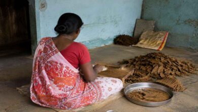 Telangana government approved wage hike for beedi workers bringing salary increase and financial relief to lakhs of worker families across the state