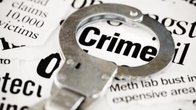 Cybercrime investigation and rising crimes against foreigners highlighted in Telangana according to NCRB 2024 report