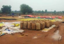 Farmers Suffer Heavy Crop Loss After Unseasonal Rains Across Telangana