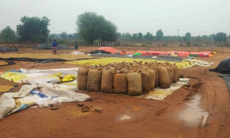 Farmers Suffer Heavy Crop Loss After Unseasonal Rains Across Telangana