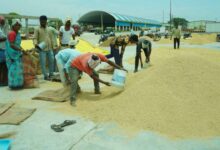 Traders from neighboring states purchase Telangana fine rice from farmers and rice markets across border districts