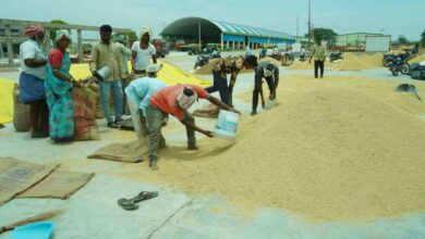 Traders from neighboring states purchase Telangana fine rice from farmers and rice markets across border districts