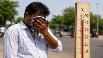 Telangana Heatwave Intensifies as Temperatures Cross 46 Degrees