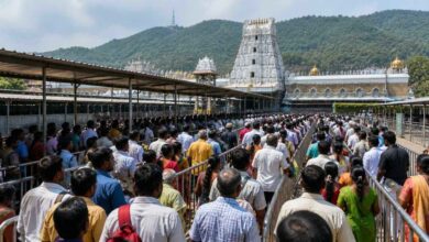 Devotees waiting in queue at Tirumala temple with reduced crowd and smoother darshan arrangements