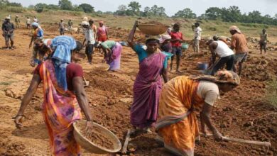 Rural labourers working at an employment site under a government wage employment programme in village India.