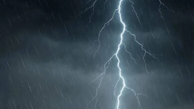 Weather update for Andhra Pradesh and Telangana warns of thunderstorms lightning strong winds and heatwave conditions over next three days
